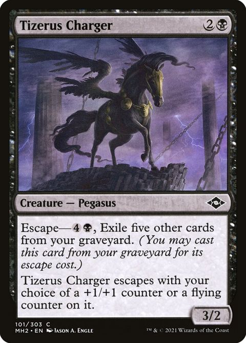 101-tizeruscharger