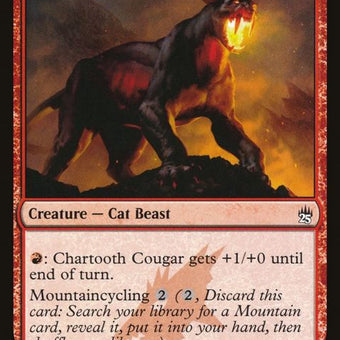 125-chartoothcougar