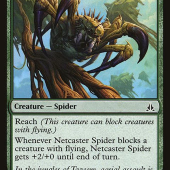 137-netcasterspider