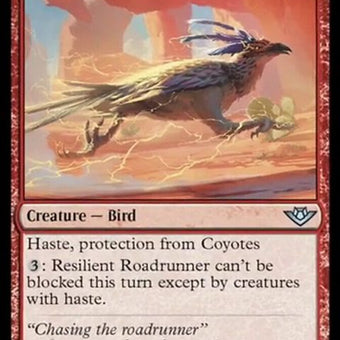 141-resilientroadrunner