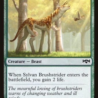 144-sylvanbrushstrider