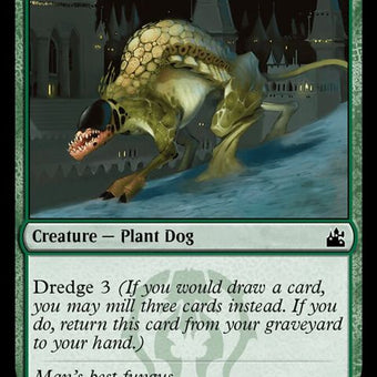 145-greatermossdog