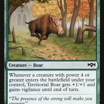145-territorialboar