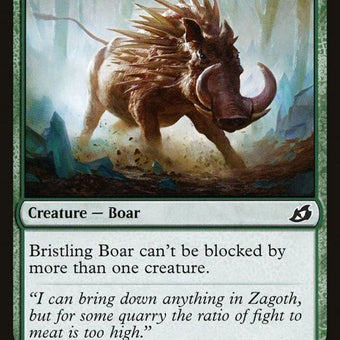 146-bristlingboar