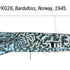 Tamiya 1/72 Junkers Ju 88 A-17 Torpedo Bomber