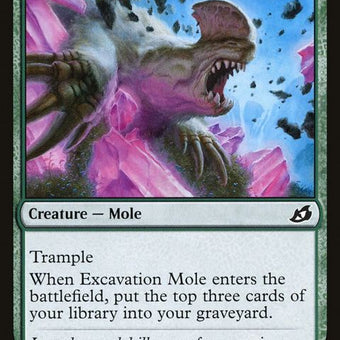 150-excavationmole