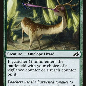 153-flycatchergiraffid