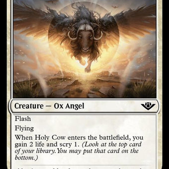 16-holycow