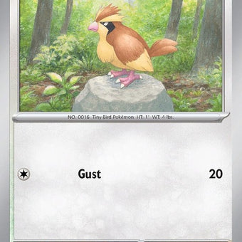 162-pidgey