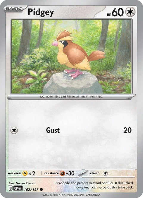 162-pidgey