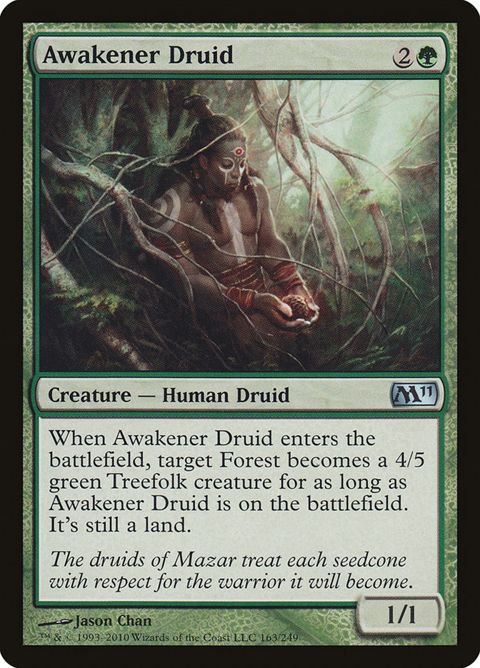 163-awakenerdruid
