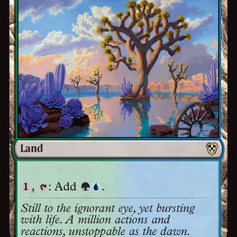 165-overflowingbasin