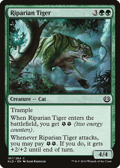 167-ripariantiger