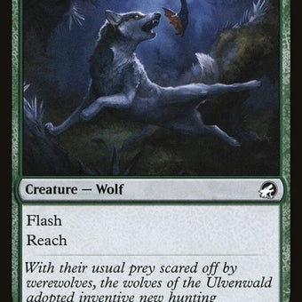 170-boundingwolf