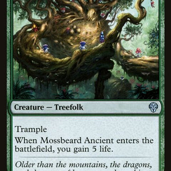 173-mossbeardancient
