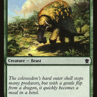 178-colossodonyearling