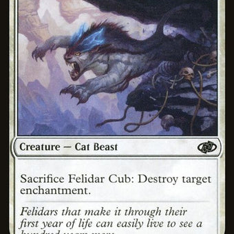 183-felidarcub