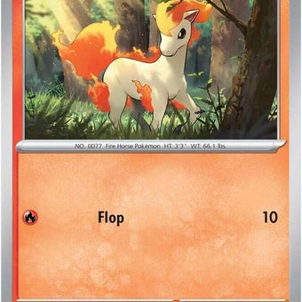 19-ponyta