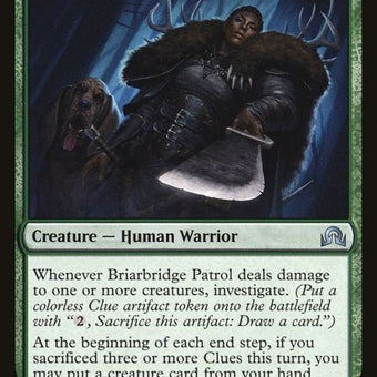 195-briarbridgepatrol