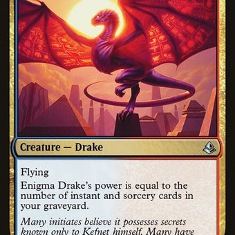 198-enigmadrake