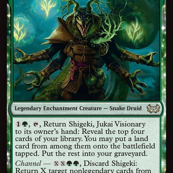 198-shigekijukaivisionary