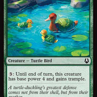 200-turtleduck
