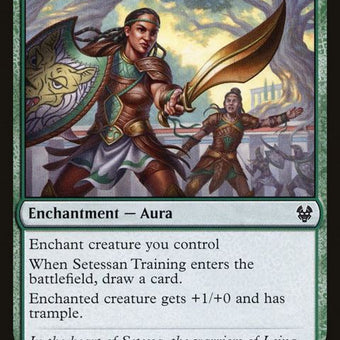 201-setessantraining