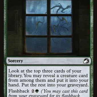 201-tappingatthewindow