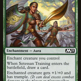 205-setessantraining