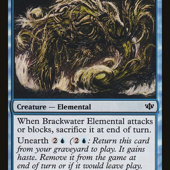 21-brackwaterelemental