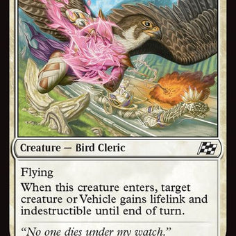 21-lotusguarddisciple