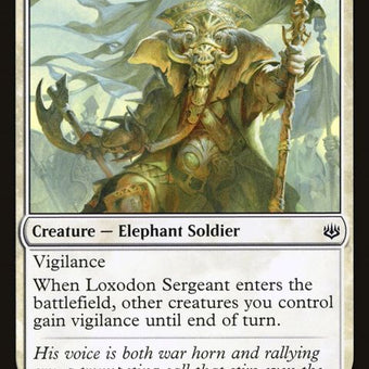 21-loxodonsergeant