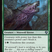 214-shrillhowlerhowlingchorus-a