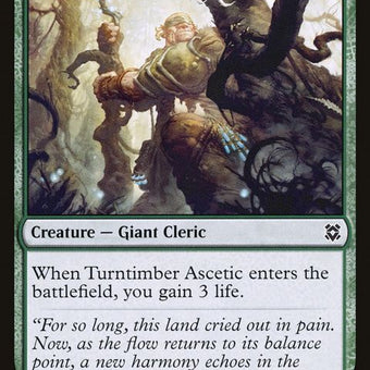 214-turntimberascetic