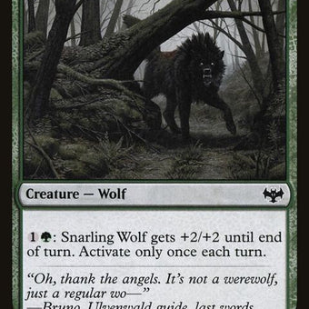 219-snarlingwolf