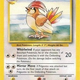 22-pidgeotto