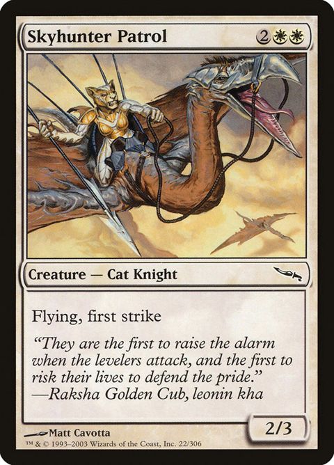 22-skyhunterpatrol