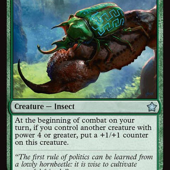 229-nessianhornbeetle