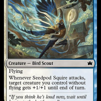 232-seedpodsquire