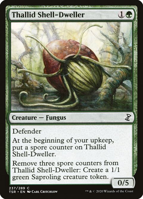 237-thallidshelldweller
