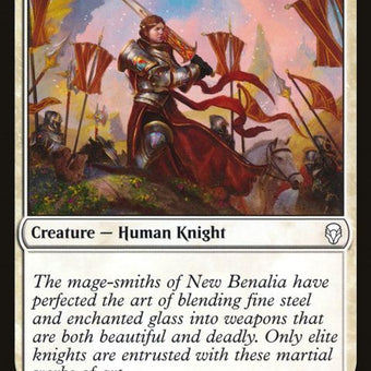 24-knightofnewbenalia