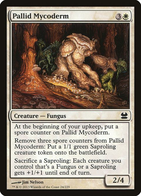24-pallidmycoderm