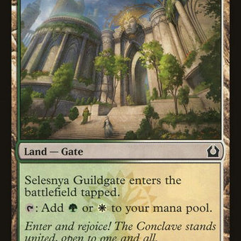 246-selesnyaguildgate