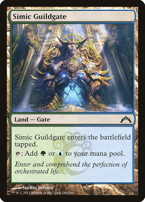 246-simicguildgate