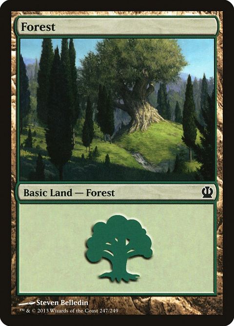 247-forest