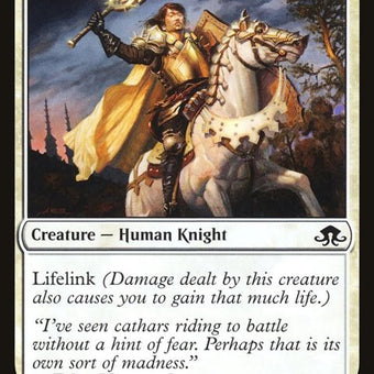 25-faithbearerpaladin