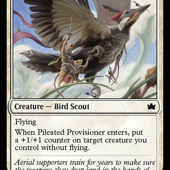 25-pileatedprovisioner