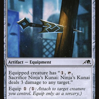 252-ninjaskunai