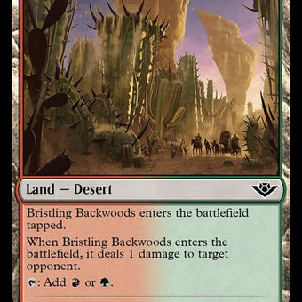 253-bristlingbackwoods