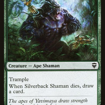 255-silverbackshaman